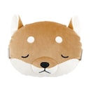 コタロウ（柴犬）