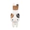 ゆず（三毛猫）