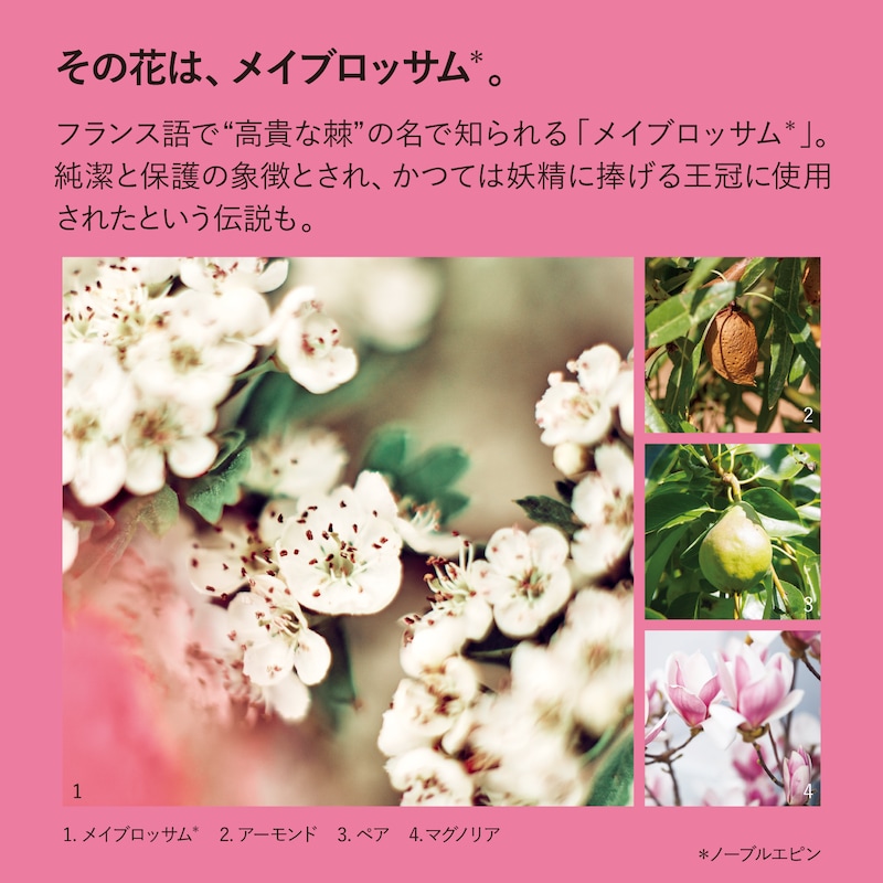 ノーブルエピン ハンドクリーム(ロクシタン/L
