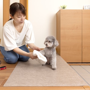汚れやすい玄関マットとしてもぴったり