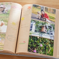 L版の写真が、縦に3枚、見開きで6枚収納可能