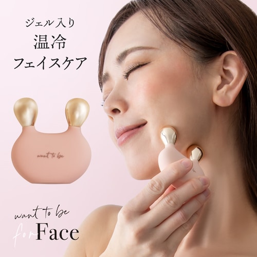 WTB フェイス (フェイスケア用カッサ)