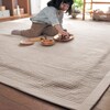 【BELLE MAISON DAYS】【送料無料】 丸洗いできるアンダーラグ