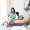 【ディズニー/Disney】3WAYでくつろげる!クッション付きふかふかビッグ座椅子「アナと雪の女王」