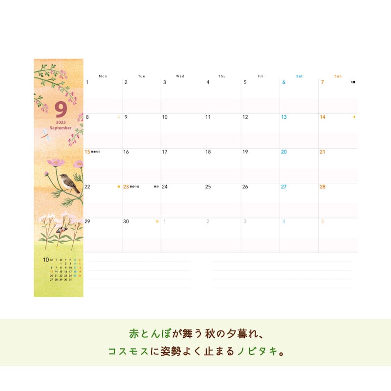 ※実際の写真ではなく、イラストデータとなります。