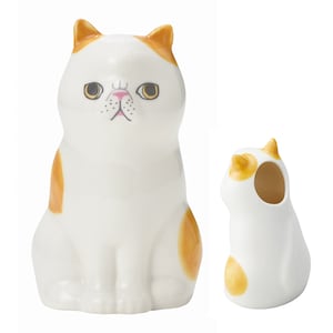 エキゾティック