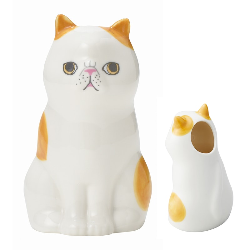 エキゾティック