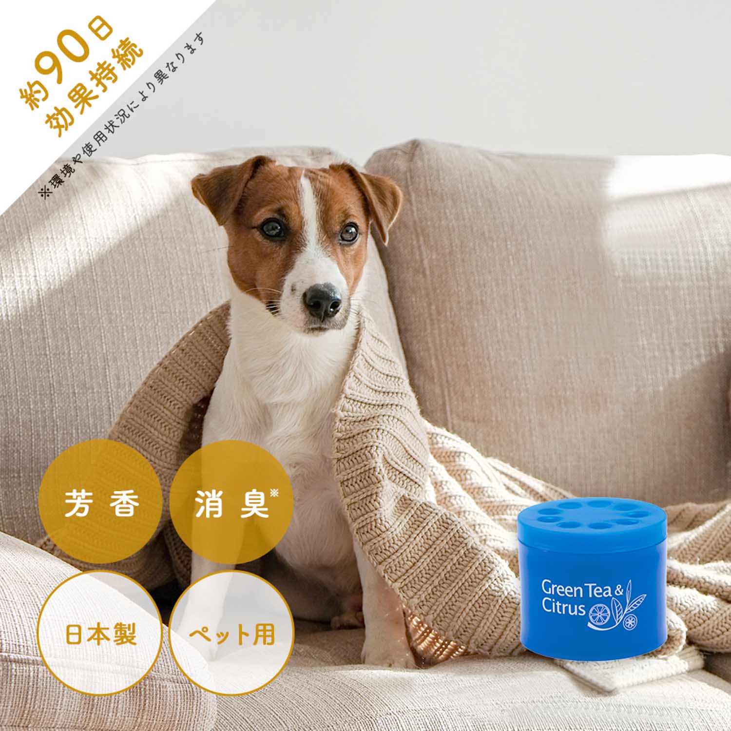 【ベルメゾン】ペット臭に効く消臭フレグランス