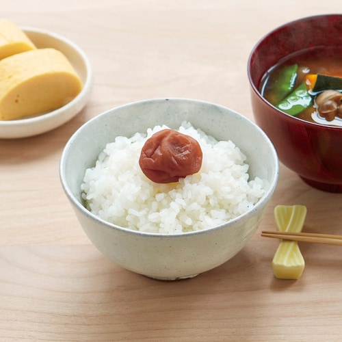 【定期お届け】 とろとろ果肉の梅干し うす塩味 ：ワンパターン