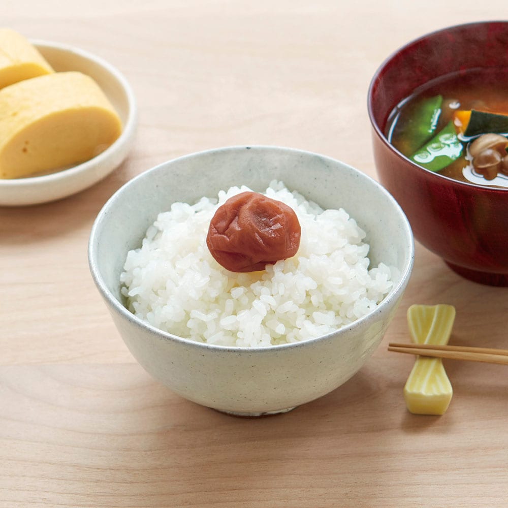 【和歌山県農業協同組合連合会】とろとろ果肉の梅干し うす塩味