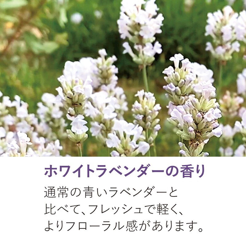 1255656_h1_203.jpg?im=Resize=( 