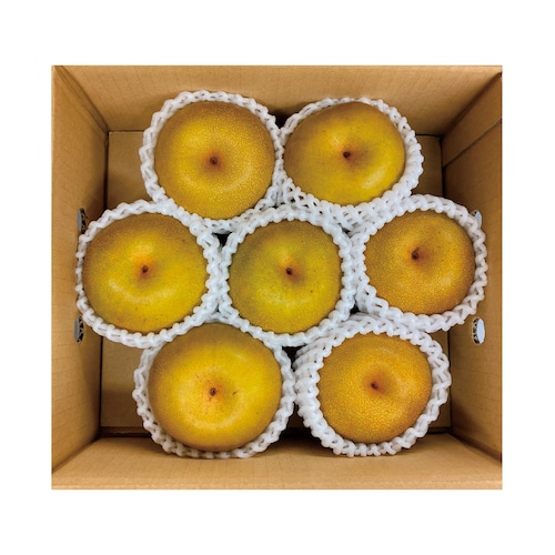 【予約商品】 佐賀県産梨「豊水」2.4kg