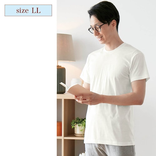 【定期お届け】［LLサイズ］ メンズコットンインナーＴシャツ「クルーネック」 ：ワンパターン