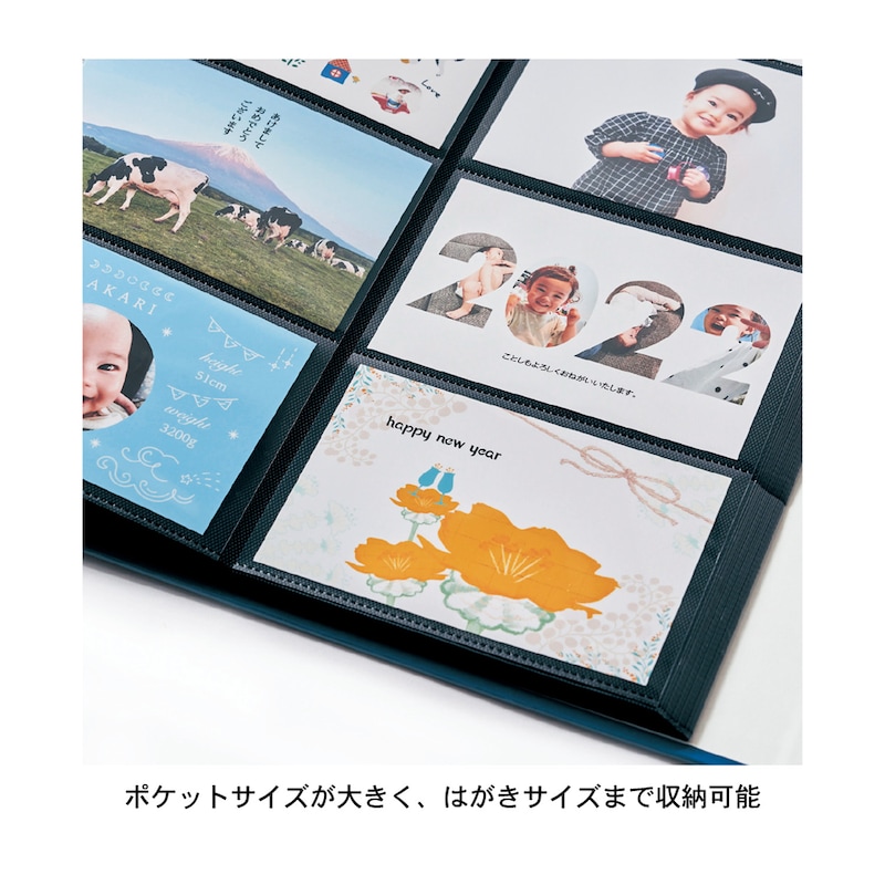 ハガキサイズも入る