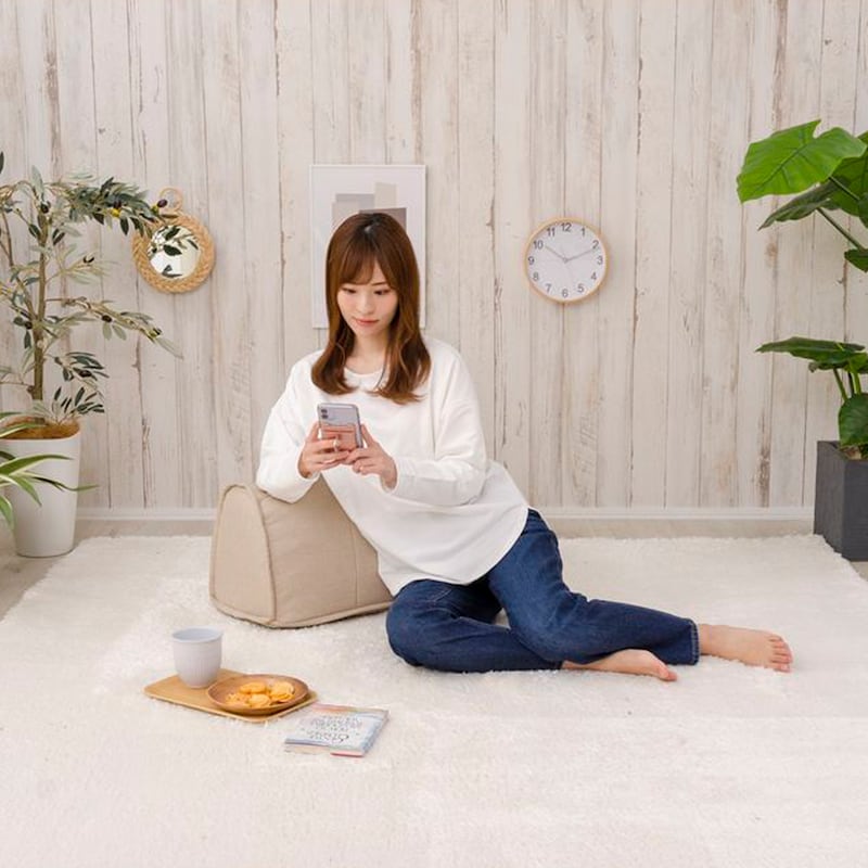 使用イメージ/ベージュ