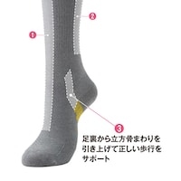 ※画像のカラーは現在販売しておりません。