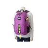 【ザ・ノース・フェイス/THE NORTH FACE】ホットショットSE/リュック【大容量33L】 (男女兼用)