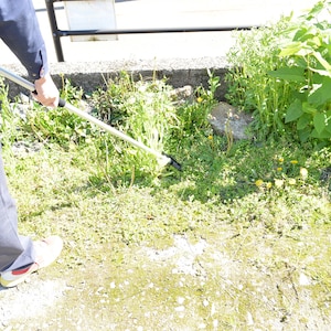 【ベルメゾン】立ったまま草抜きができる 3way草ヌッキー