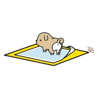 ペットシーツがずれないので安心して用を足せます