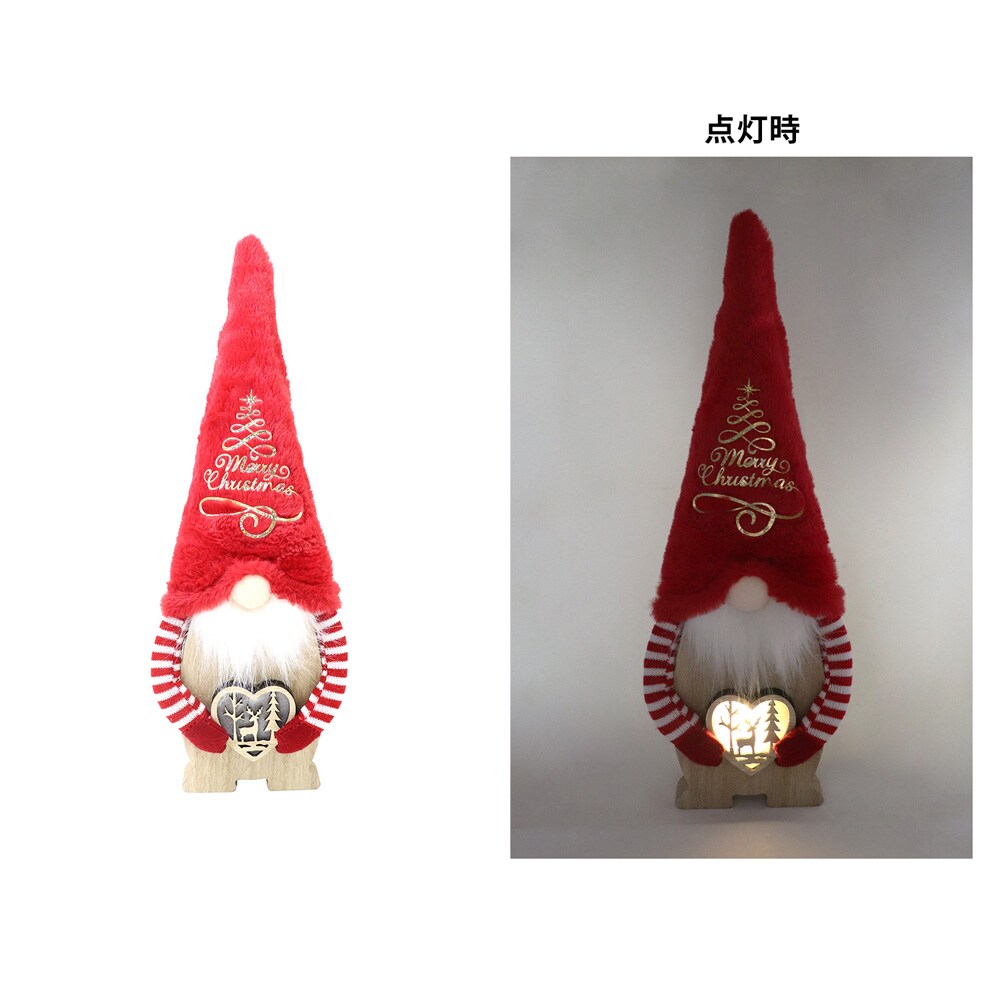 サンタゴスティーノ 苗木 約56cm 接木