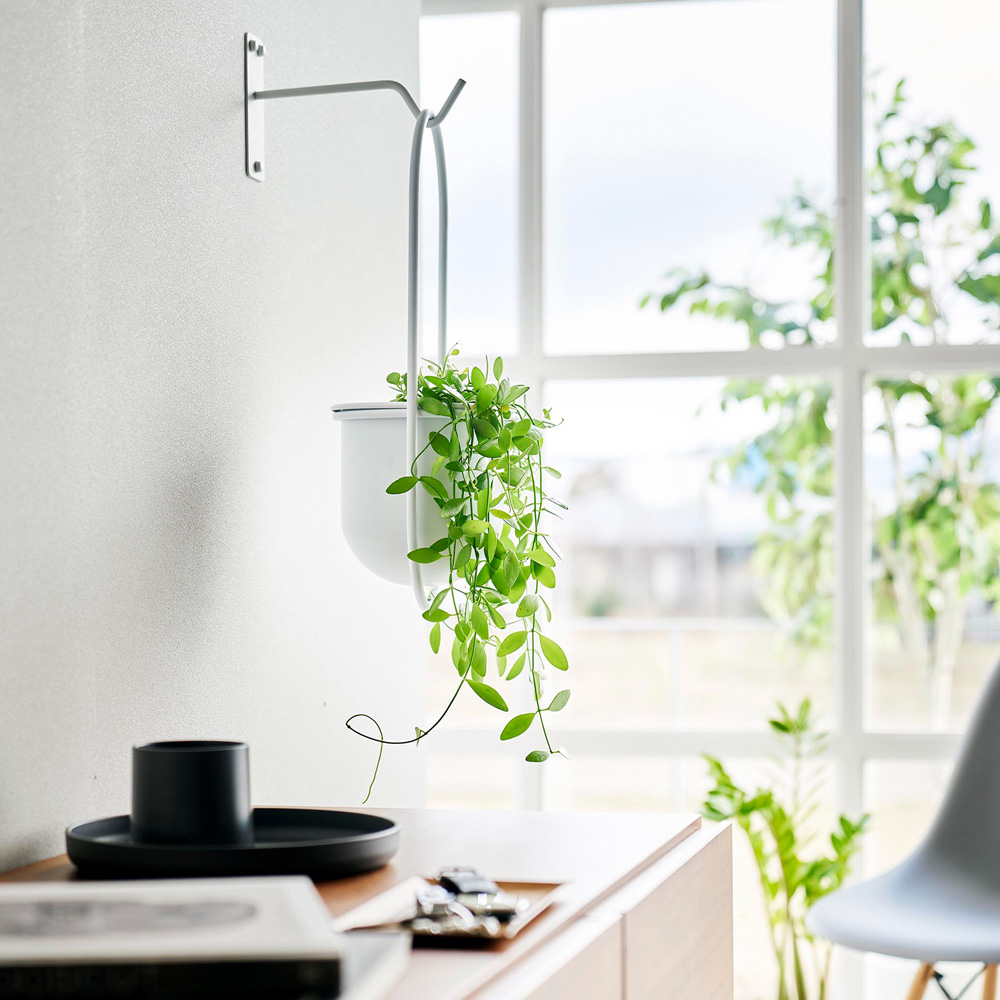 【タワー/tower】ウォールハンギンググリーンフック 石こうボード壁対応