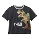 ≪セール中≫スミクロ（Ｔ－ＲＥＸ）