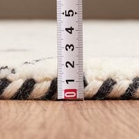 厚み約1.5～2cm