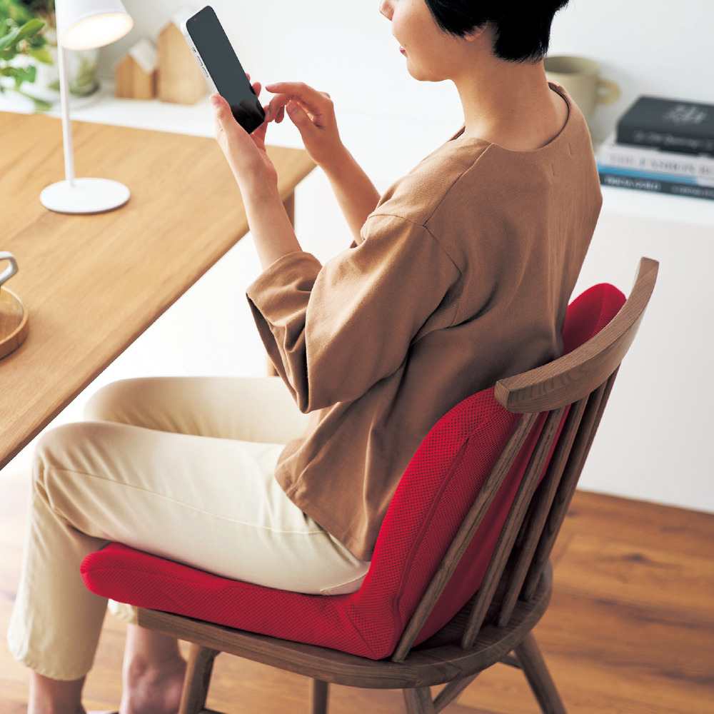 【ベルメゾン】座るだけで体がピンと!ピントクッション