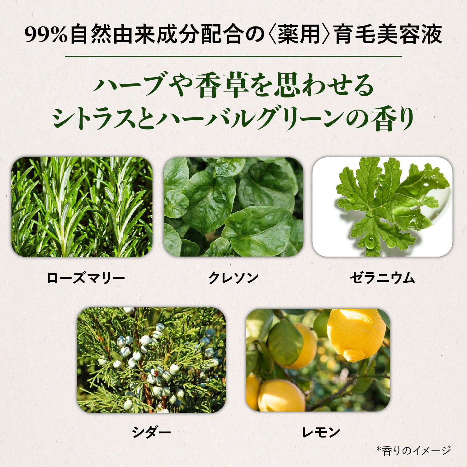 【ロクシタン/L'OCCITANE】リペア & スカルプケアセット (育毛剤・シャンプー・トリートメント)