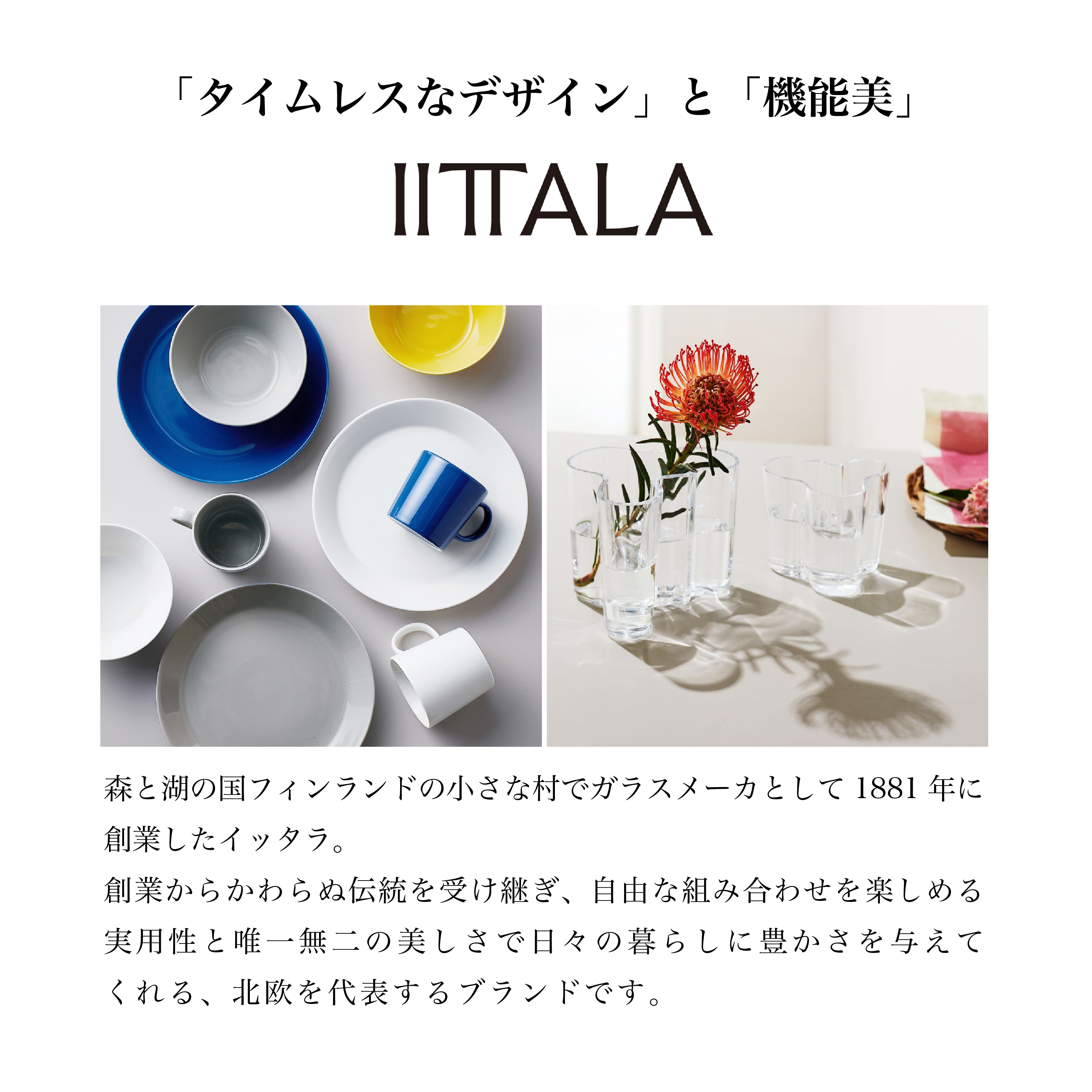 iittala / イッタラ / Aino Aalto / アイノ・アアルト プレート