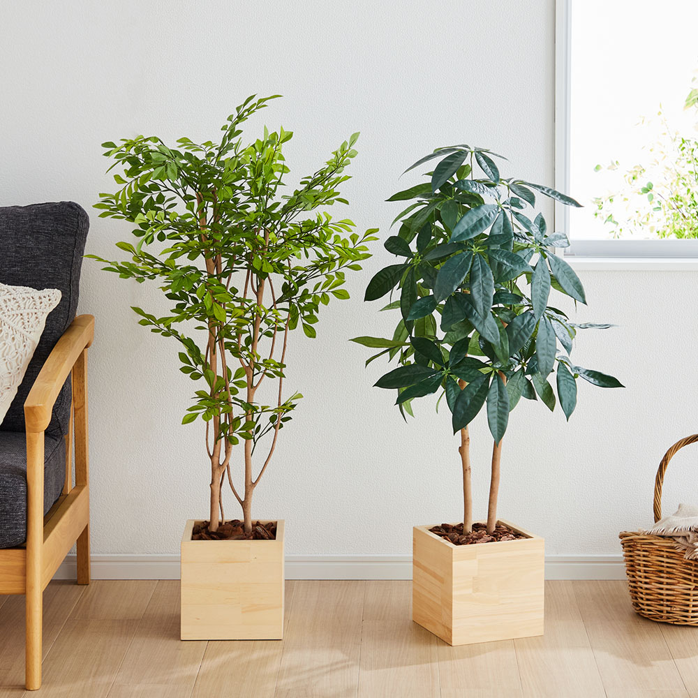 【ベルメゾン】ナチュラルな木製ボックス入り光触媒加工のフェイクグリーン 【ベルメゾン】ナチュラルな木製ボックス入り光触媒加工のフェイクグリーン