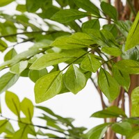 消臭・抗菌効果のある、光触媒「V-CAT」を使用