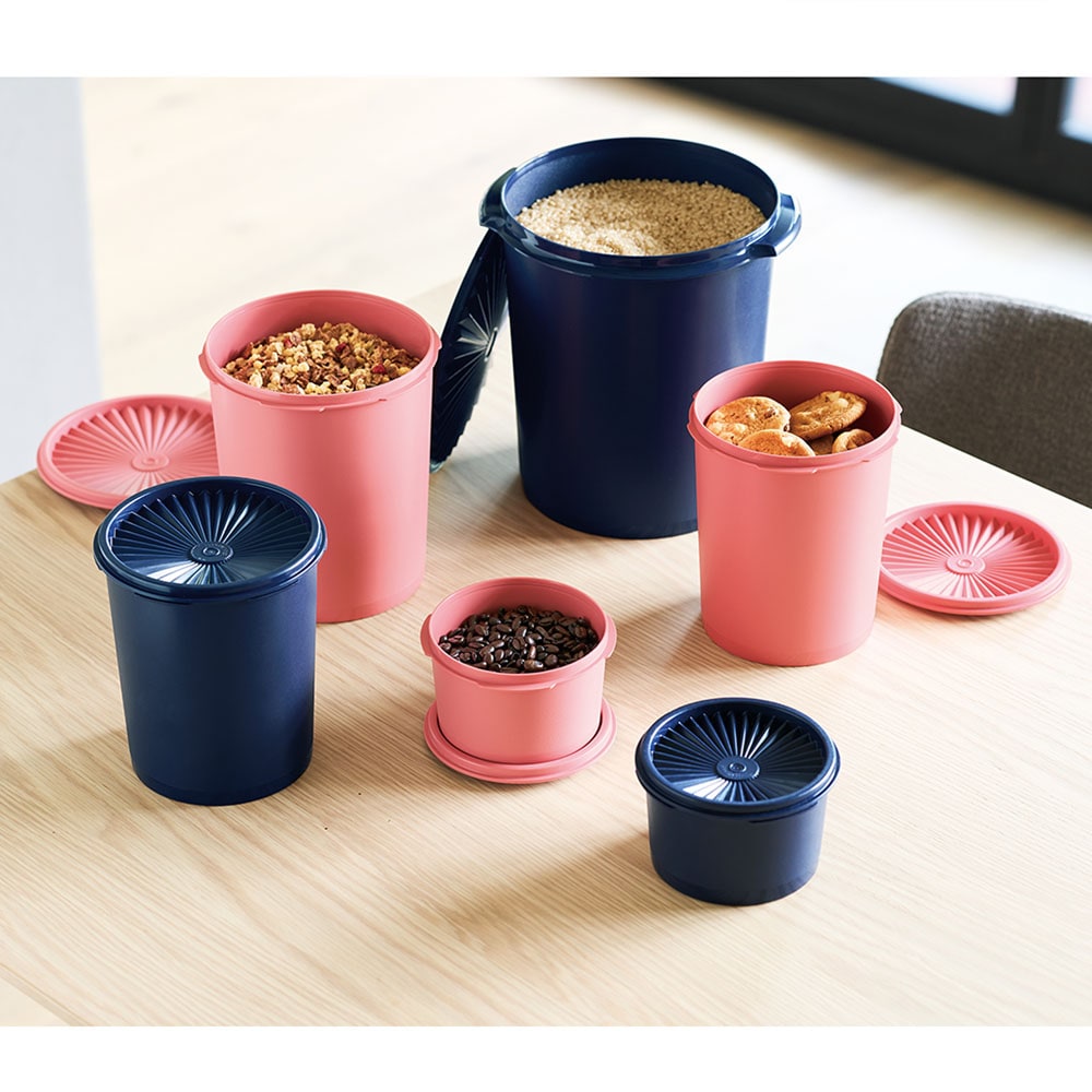 密封保存容器 グランプリデコレーターL <2.75リットル 密封保存容器 グランプリデコレーターL <2.75リットル