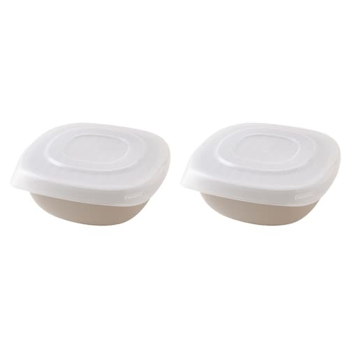 逆さでチンしてそのまま食卓に！すのこ付き冷凍ご飯容器 ＜２個組＞【食洗機対応】
