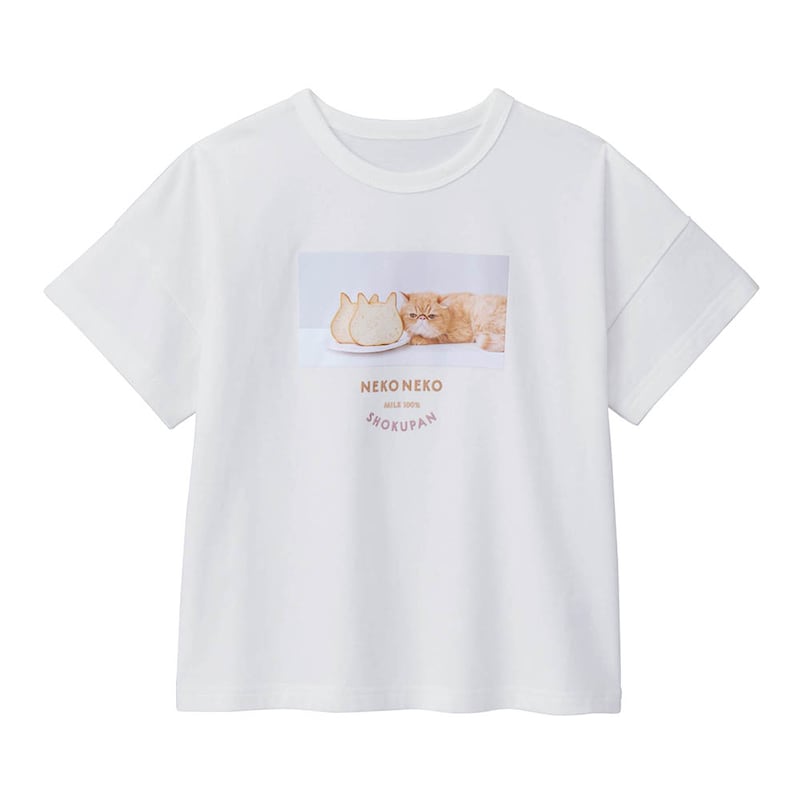 オフホワイト（ねこねこ食パンとねこ）(26年春新色)