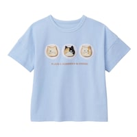サックス（ＦＬＡＶＯＲ）(26年春新色)