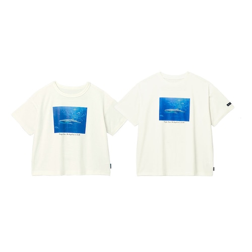 海遊館コラボ海の生き物と過ごすプリントＴシャツ 【子供服 半袖】