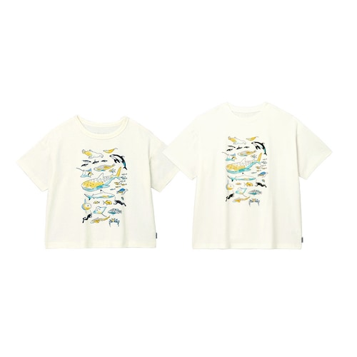 海遊館コラボ海の生き物と過ごすプリントＴシャツ 【子供服 半袖】