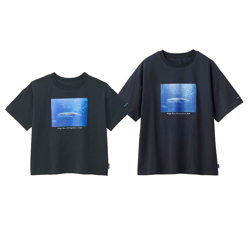 スミクロ（太平洋）(26年春夏新色）