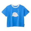 ライトブルー（北極圏）