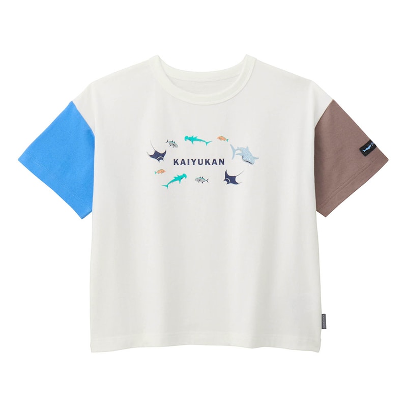 マルチ配色（太平洋）(26年春夏新色）