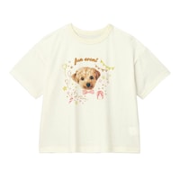 オフホワイト（イヌ）