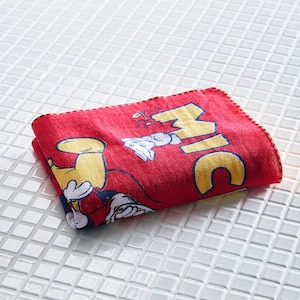 ミッキー＆ミニー