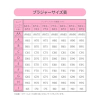 サイズ表