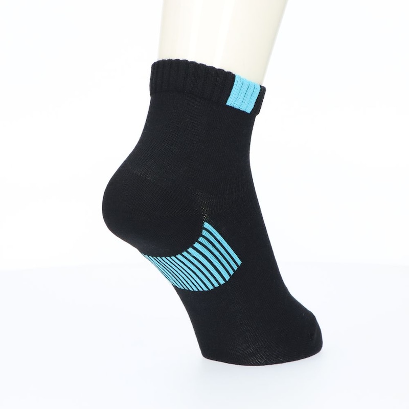 カラーアソート