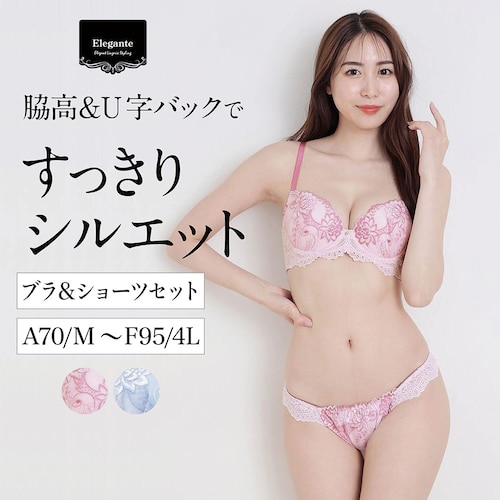 【3月12日再値下げ】 【プチプラ】脇高ブラ＆ショーツセット 【Ａ７０／Ｍ～Ｆ９５／４Ｌ】