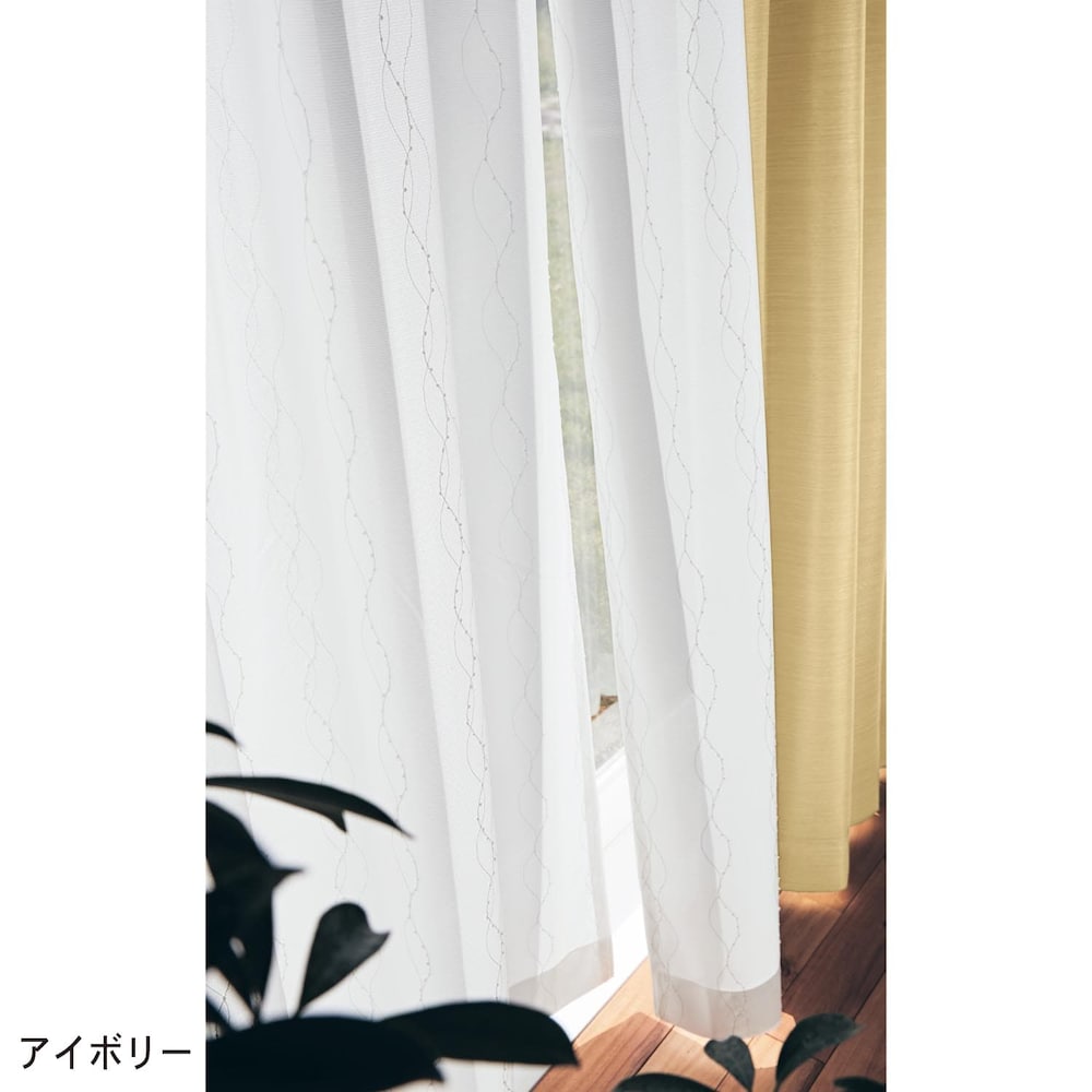 アイボリー