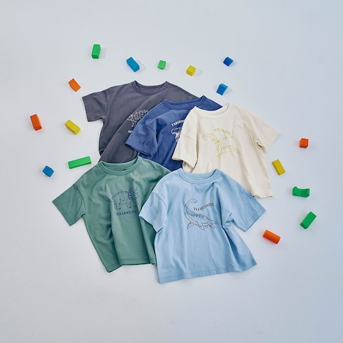 マイニチにたくさん欲しい半袖Ｔシャツ5枚セット