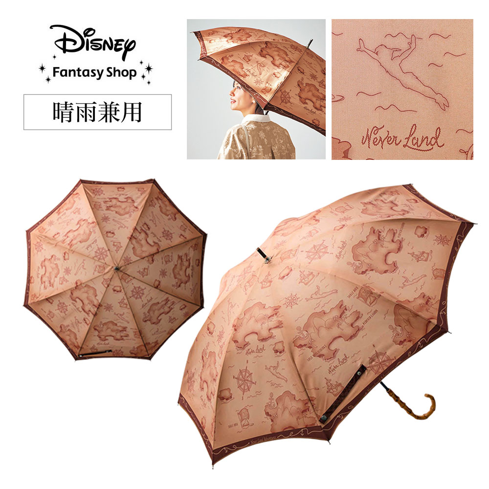 【ディズニー/Disney】1枚絵デザインの長傘「ピーター・パン」