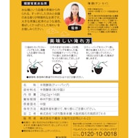福建省産水仙茶